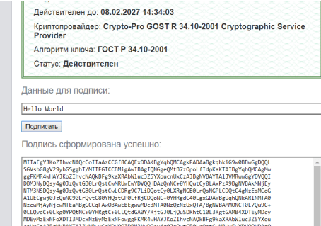 <i>Успешная проверка на тестовой странице выглядит так.</i>